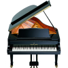 Kawai SK-2L M/PEP