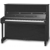Samick JS121MD EBHP