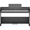 Roland RP107