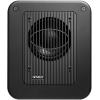 GENELEC 7350APM