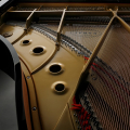 Kawai GL-10 M/PEP