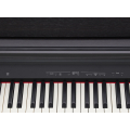 Roland RP30