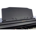 ROLAND RP501R-CB