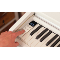Kawai CA49 W