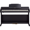 ROLAND RP501R-CB