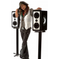 Barefoot Sound MicroMain27 Gen2