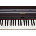Roland RP501R-CR