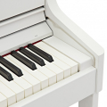 Roland HP702-WH + KSH704/2WH