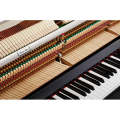 KAWAI K15E M/PEP