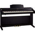 ROLAND RP501R-CB