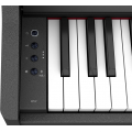 Roland RP107