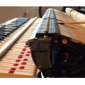 Kawai GL-50 M/PEP