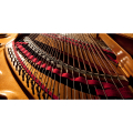 Kawai SK-5L M/PEP