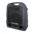 PEAVEY Escort 6000