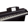 ROLAND RP501R-CB