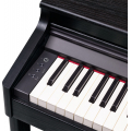 Roland RP701-CB