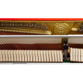 KAWAI K15E M/PEP