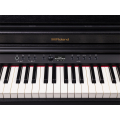 Roland RP701-CB