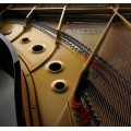 Kawai GL-30 M/PEP