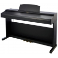 ROLAND RP501R-CB