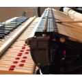 Kawai GL-20 M/PEP