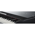Dexibell VIVO H3 BK Custom