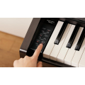 Kawai KDP120 R