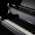 Kawai GL-50 M/PEP