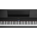 Roland HP702-CH + KSH704/2CH
