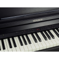 ROLAND RP501R-CB