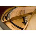 Kawai GX-5 M/PEP