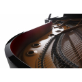 Kawai GX-5 M/PEP