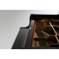 Kawai GL-50 M/PEP