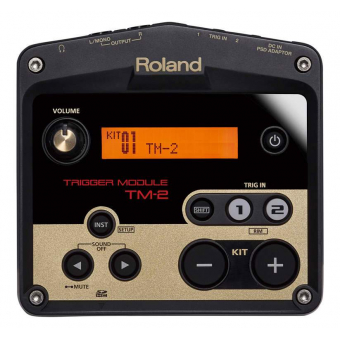 Roland TM-2