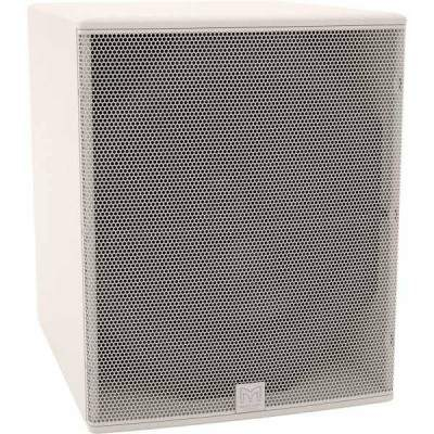 MARTIN AUDIO CSX118W