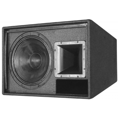 MARTIN AUDIO AM12