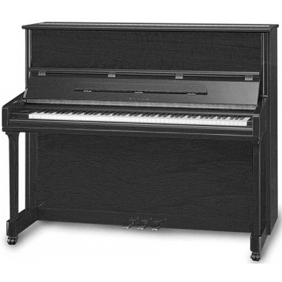Samick JS121MD EBHP