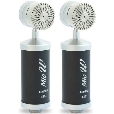 MicW T551 Pair