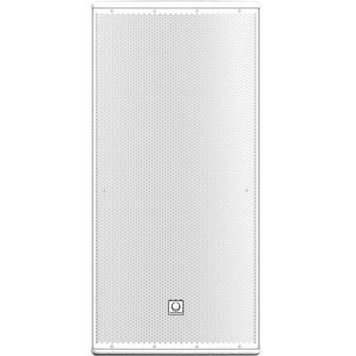 Turbosound Athens TCS122/96-AN-WH
