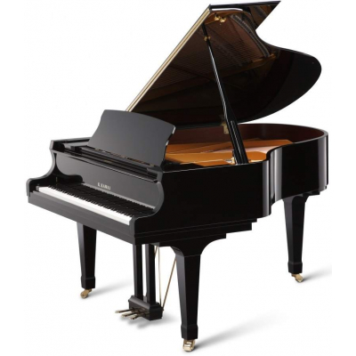 Kawai GX-2