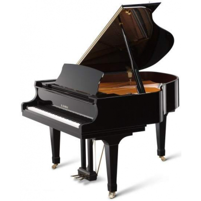 Kawai GX-1 M/PEP
