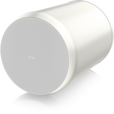 Tannoy OCV 8-WH