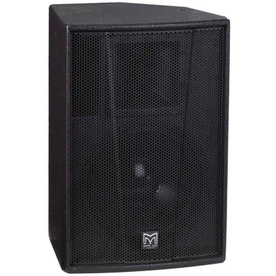MARTIN AUDIO F12+