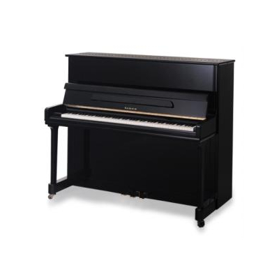 SAMICK JS121FD EBHP