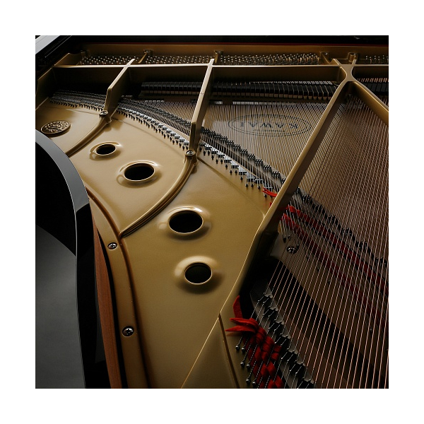 Kawai GL-10 M/PEP