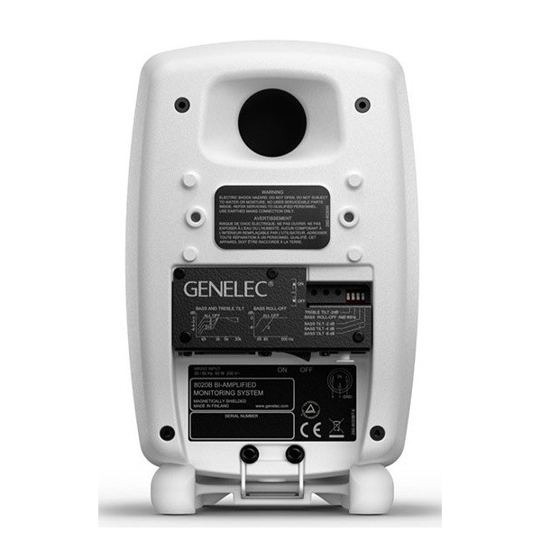 Genelec 8020DWM