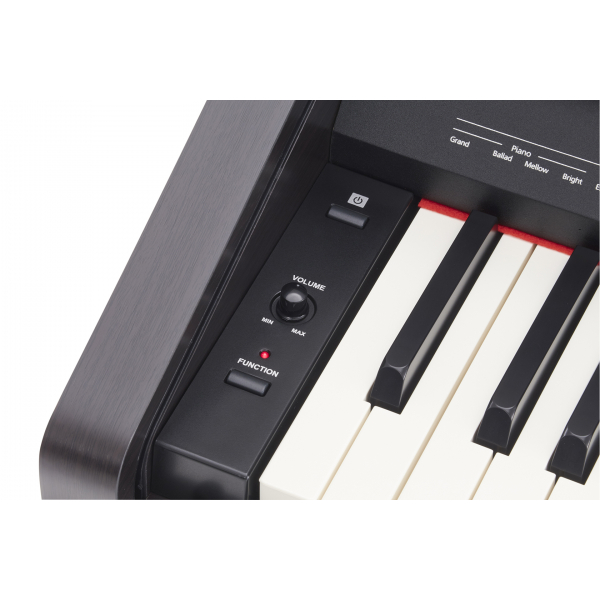Roland RP30