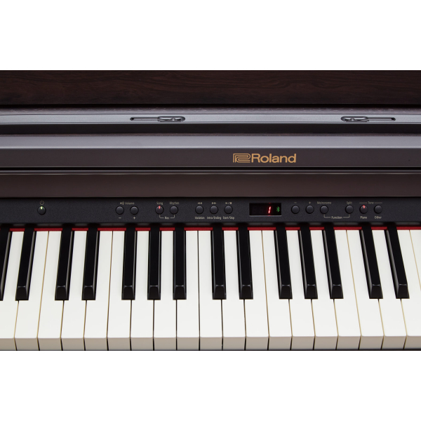 Roland RP501R-CR