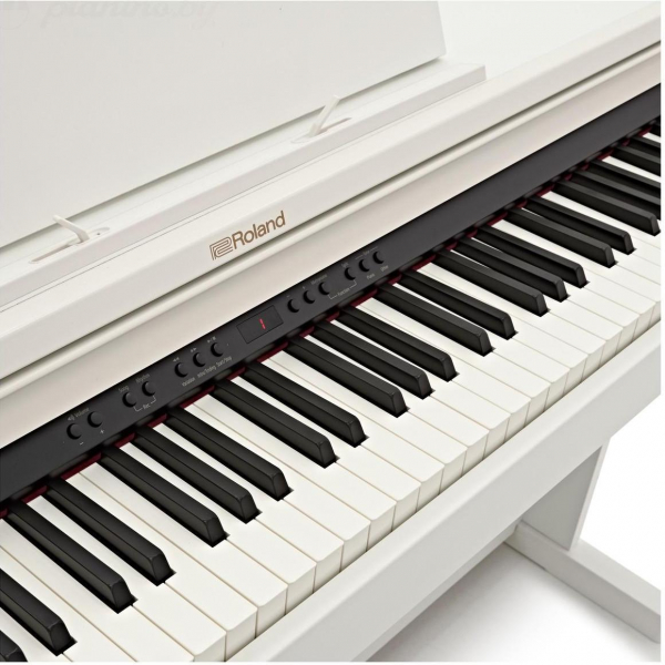 ROLAND RP501R-WH