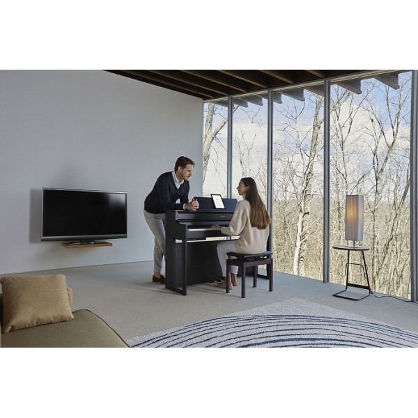 Roland HP704-DR + KSH704/2DR